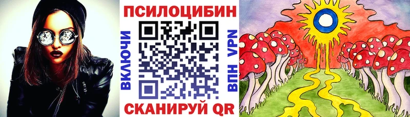 это клад Беслан Галлюциногенные грибы мицелий